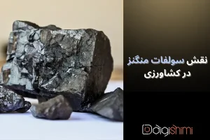 نقش سولفات منگنز در کشاورزی